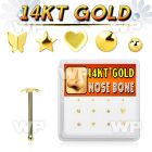 dgnb16 box w 14kt gold nose bones w mixed plain tops