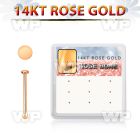 drnb27 box w 12 14kt rose gold nose bones w round flat top