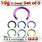 fhr64ey pack 5mm ion plated g23 titanium cbr horseshoe post 1 2 belly piercing
