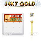 gnb2x box w 14kt gold nose bone 20g w 1.5mm set clear cz 