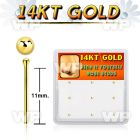 gys3x box w 14kt gold bend it nose stud 20g w 1.5mm ball top