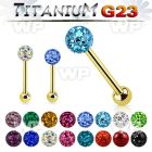 hi44day gold ion titanium straight bar 14g ferido and ball