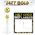 i484ks bio flex labret 1 2mm push in 2 5mm 14kt gold ball lower lip piercing