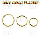 im3wbkp silver 925 seamless ring 0 8mm 18k gold plated an out eyebrow piercing