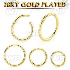 im3wixey 18kt gold finish silver hinged segment clicker 16g