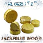 mocfb xl big gaue sized jack fruit wood concave double flare ear lobe piercing