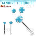 nbpge7 925 silver nose bone w turquoise