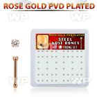 nbttz1xc box w rose gold steel nose bones w 1.5mm clear czs