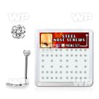 nswz2xc box w 316l steel nose screws, 20g w prong set 2mm cz