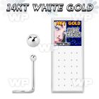 oi364 box of 14kt white gold nose screw 1 5mm plain white gold nose piercing