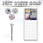 oi4g3j box of 14kt white gold nose bone 1 5mm prong set round nose piercing