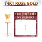 rbbt2 14kt rose gold nose bone w modern butterfly top