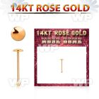 rbrd 14kt rose gold nose bone w a 2mm gold round flat top