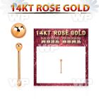 rnbb1 14kt rose gold nose bone w a 1.5mm gold ball shaped top