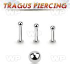 tlbb25 316l steel tragus labret 16g w a 2.5mm ball 