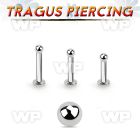 tlbb2 316l steel tragus labret 16g w a 2mm ball 