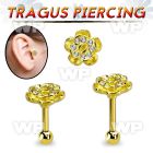 trgt41 gold 316l steel tragus piercing, 16g w crystal flower