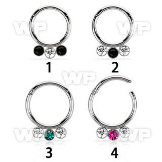 316l steel hinged segment ring 16g w alternating crystals