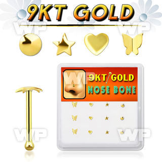 d9gnb16 box w 9kt gold nose bones with mixed plain tops