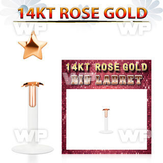 rbist bio flex labret w 14kt rose gold top w a 2.5mm star top
