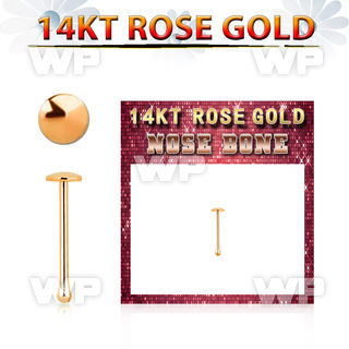 rbrd 14kt rose gold nose bone w a 2mm gold round flat top