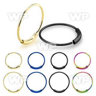 rwu1 pvd steel endless nose ring