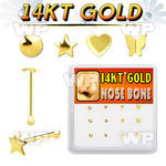 1iu49 box w of 14kt gold nose bone mixed shaped tops round nose piercing