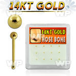 1iu4s box w of 14kt gold nose bone 1 5mm ball shaped top nose piercing