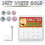 1o36ek box w of 14kt white gold nose screw 1 5mm 2mm prong set nose piercing