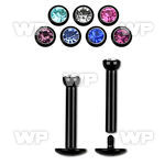 b426k black ion plated internally threaded surgical steel labre lower lip piercing