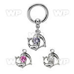 bcrgz15 316l steel bcr 1.6mm w dolphins swimming around a cz