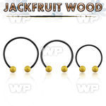 cbmtjf5l xxl anodized steel cbr, 14g w 5mm jackfruit wood balls