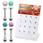 dacb223 display w steel tragus barbells w with a synthetic top