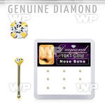 dginb15 box w 10kt gold nose bones w 1.5 real prong set diamonds