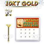 dginb19 box w 10kt gold nose bones w prong set 2mm square cz