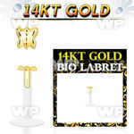 gbibt bio flex labret w 14kt gold clasic butterfly shaped top