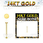 gbrd1 14kt gold nose bone, 22g w small round flat top