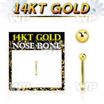 gnbb1b 14kt gold nose bone, 20g w a 1.5mm ball shaped top