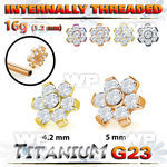 hr3xgs8u pvd finish titanium flower top cz for 16g internal