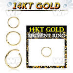 i3wixet 14kt gold hinged segment clicker 18g