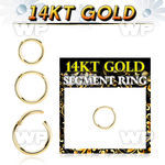 i3wixey 14k gold hinged segment ring