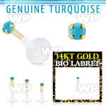 i48iwl bioplast labret 14kt threadless press fit turquoise