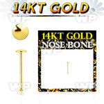 i4a1 14kt gold nose bone 2mm plain gold round top nose piercing