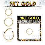 i93wixey 9kt gold hinged segment clicker 16g