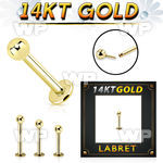 ib44ks 14kt gold labret stud 16g threadless press fit ball