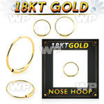 ietwu1 18kt gold endless nose ring 22g