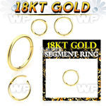 ii3wixey 18kt gold hinged segment clicker 16g