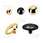 itag flat dome shaped pvd plated steel dermal anchor top part