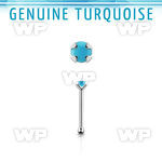 nbpge7 925 silver nose bone w turquoise