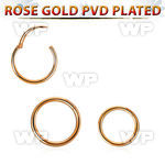 rose gold pvd plated 316l steel hinged segment ring, 20g